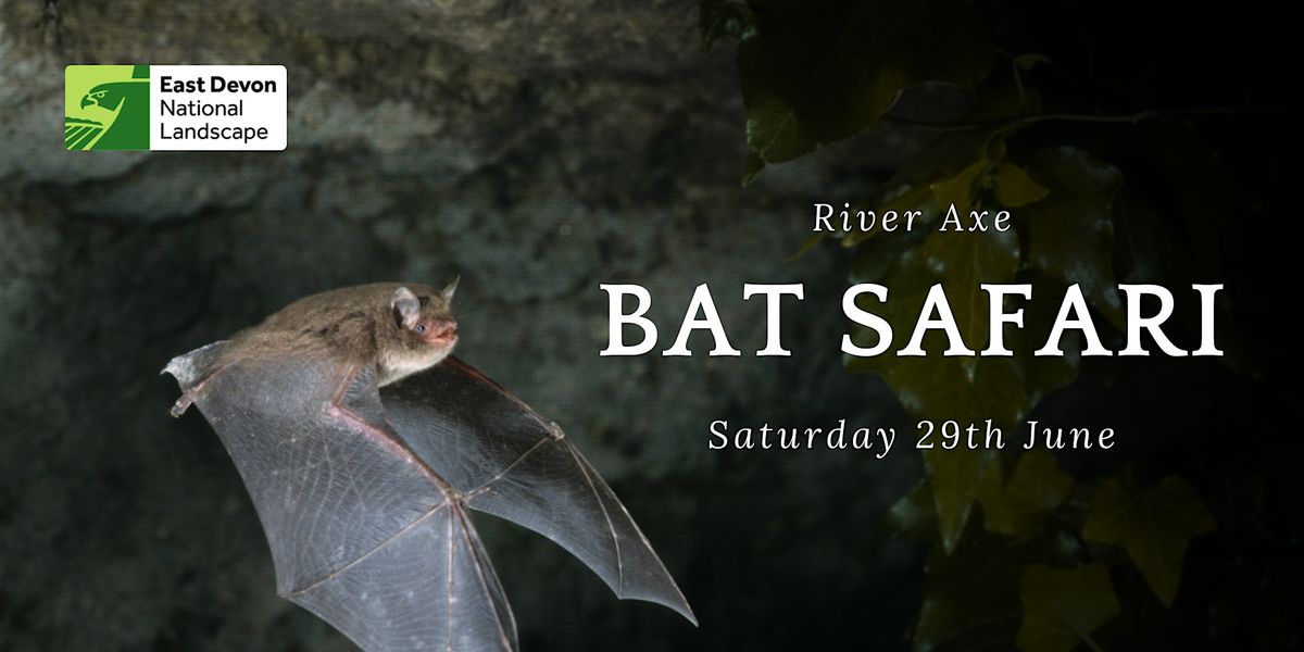 Bat Safari - River Axe