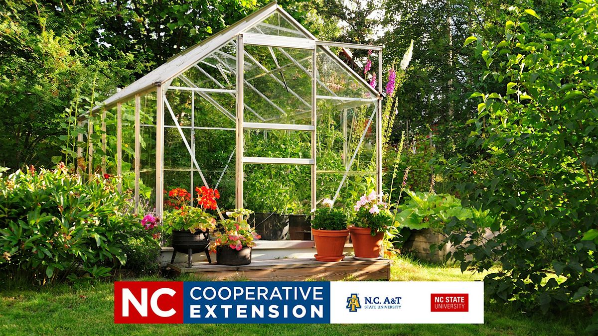 Building a Home Greenhouse