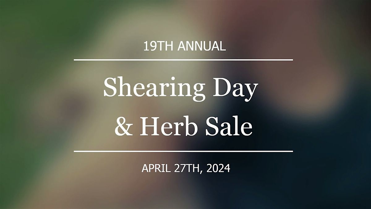 19th Annual Shearing Day & Herb Sale