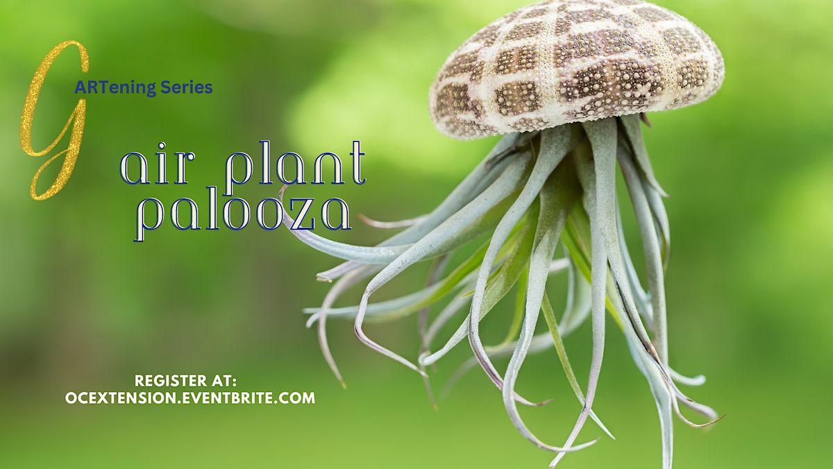 gARTening Series:  Air Plant Palooza-In-Person class