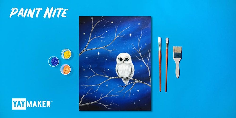 Virtual: Starlight Owl