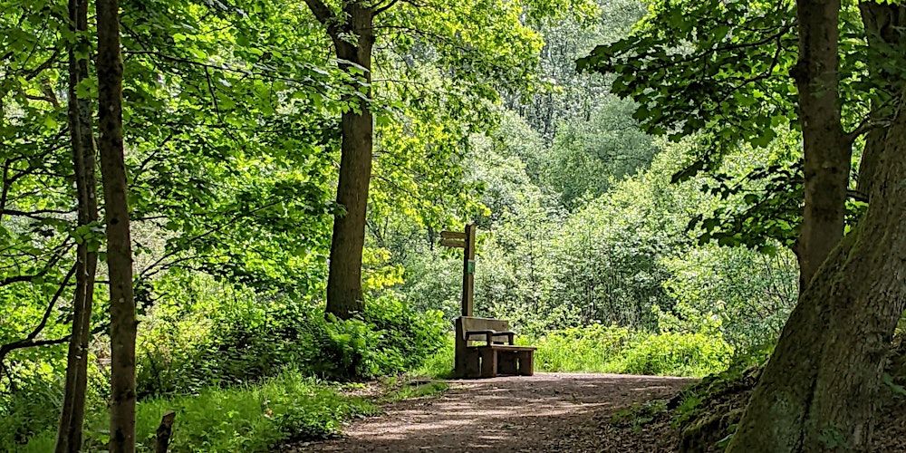 Wellesley Woodlands Health Walk - Wharf Plantation