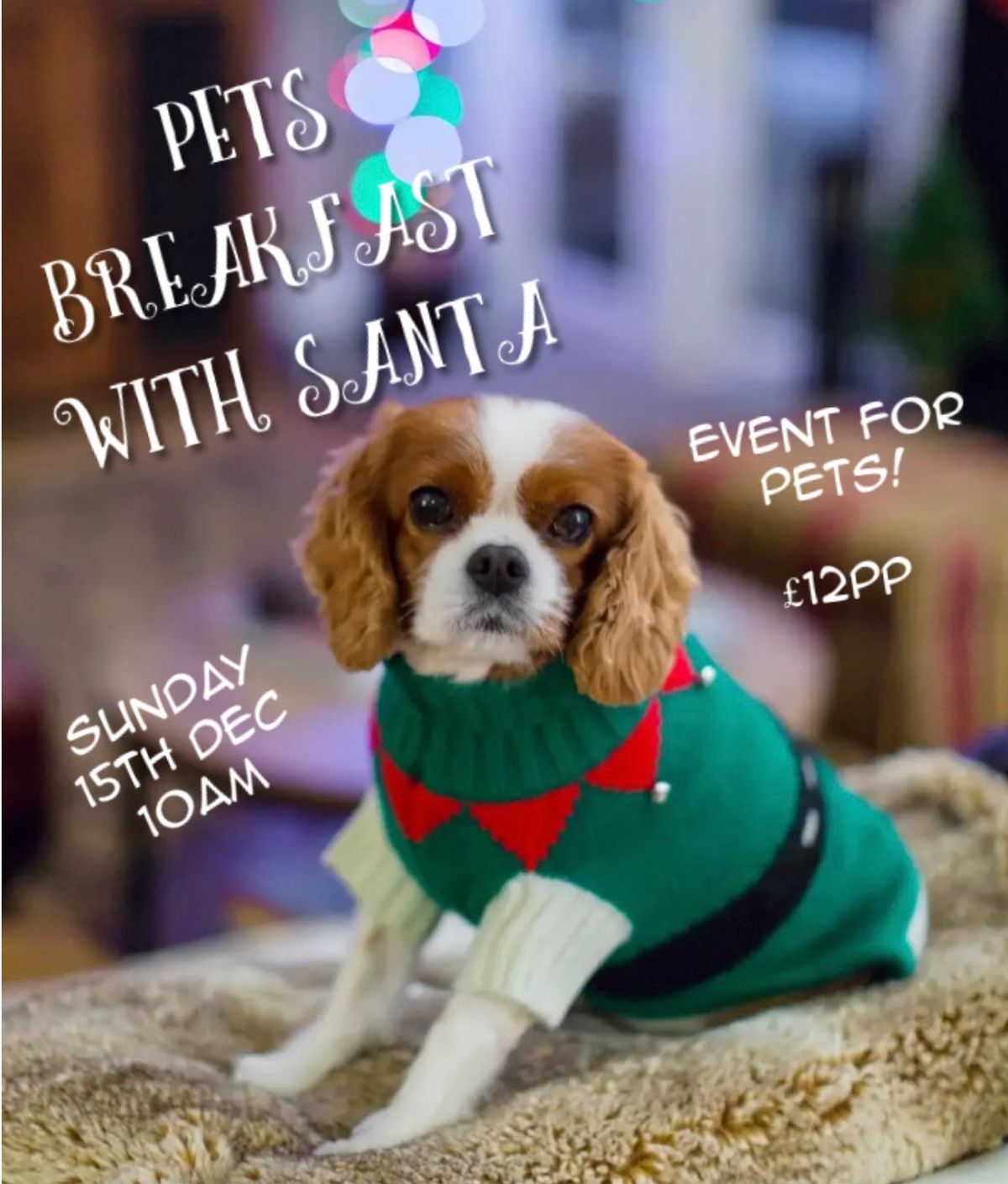 Santa Paws \ud83d\udc3e Breakfast 