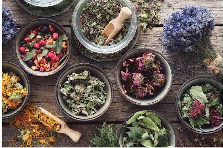 Harness the Power of Plants: Herbal Education for Diabetes Management