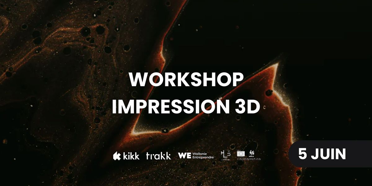Workshop Impression 3D - PROFESSIONNELS