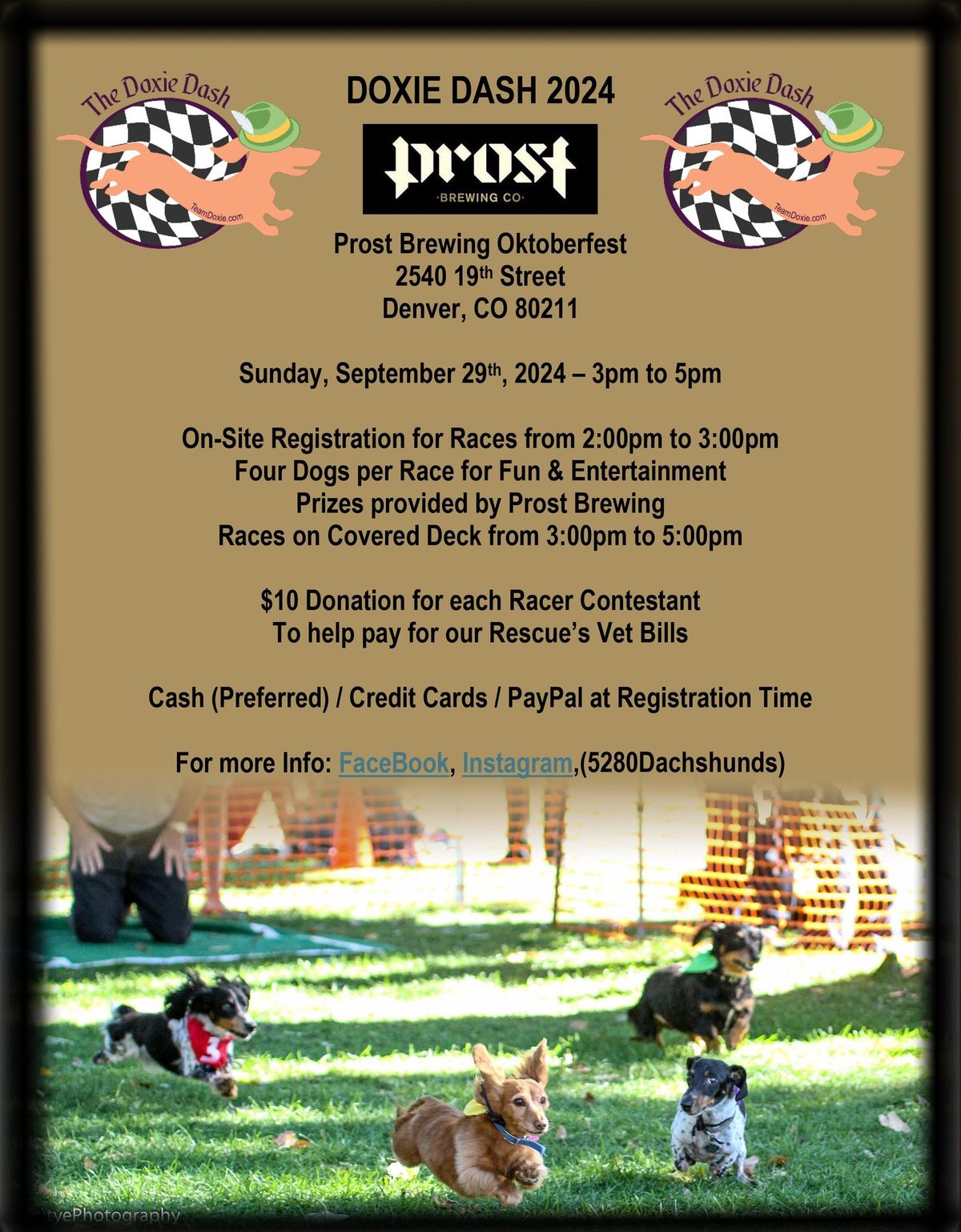 Prost Brewery Doxie Dash 2024