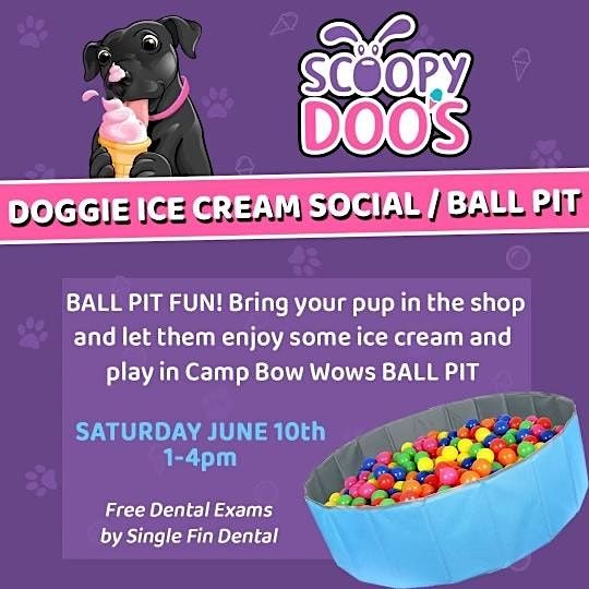 Doggie Ice Cream Social\/Ball Pit Paw-ty!