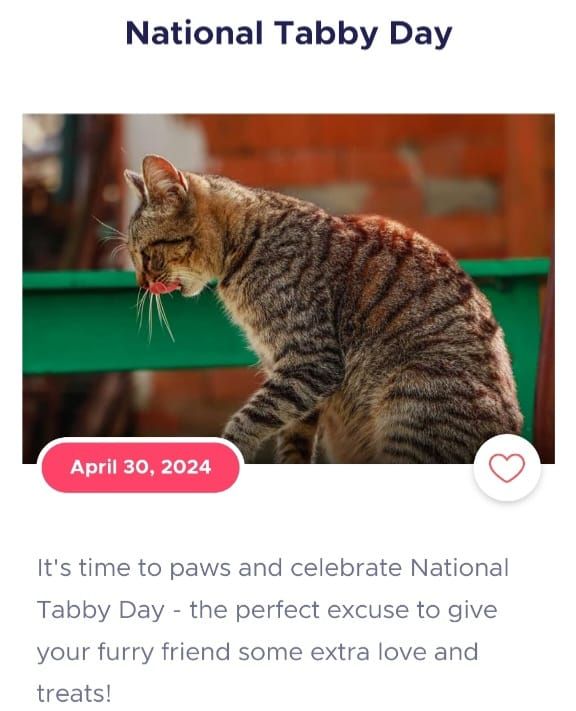 National Tabby Day