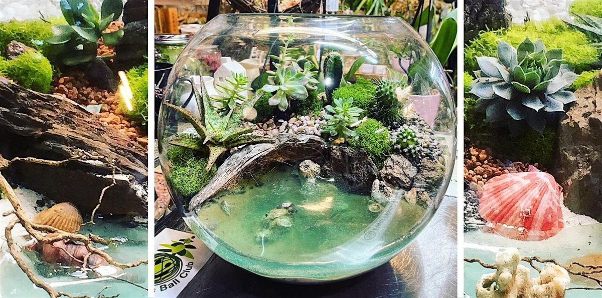 Beach terrarium workshop