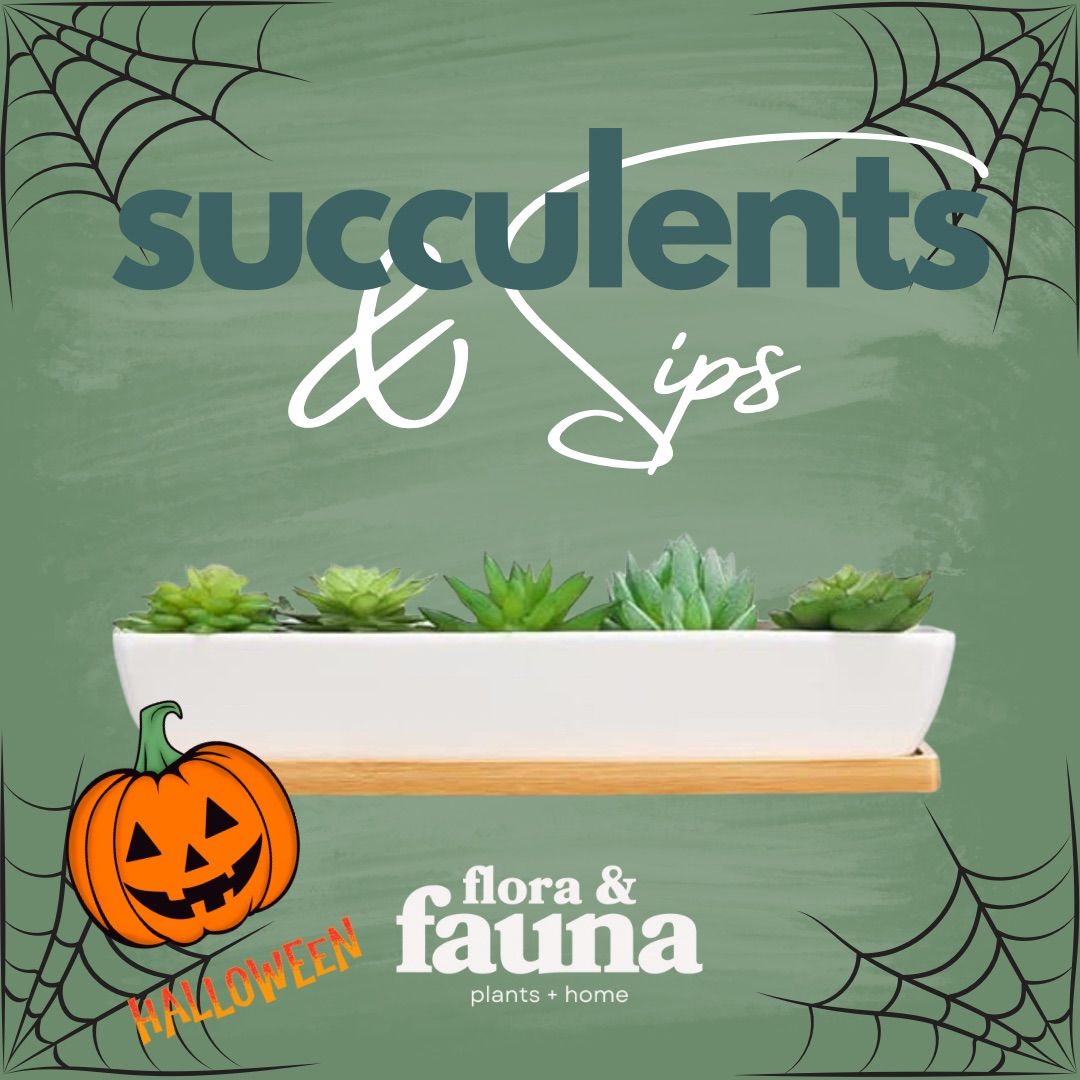 Succulents & Sips Halloween Edition at Pub 282