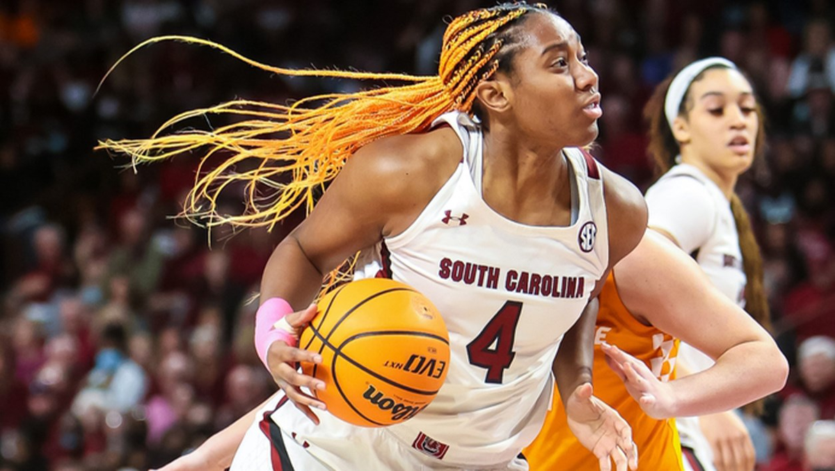 South Carolina Gamecocks at Tennessee Lady Volunteers Womens Volleyball