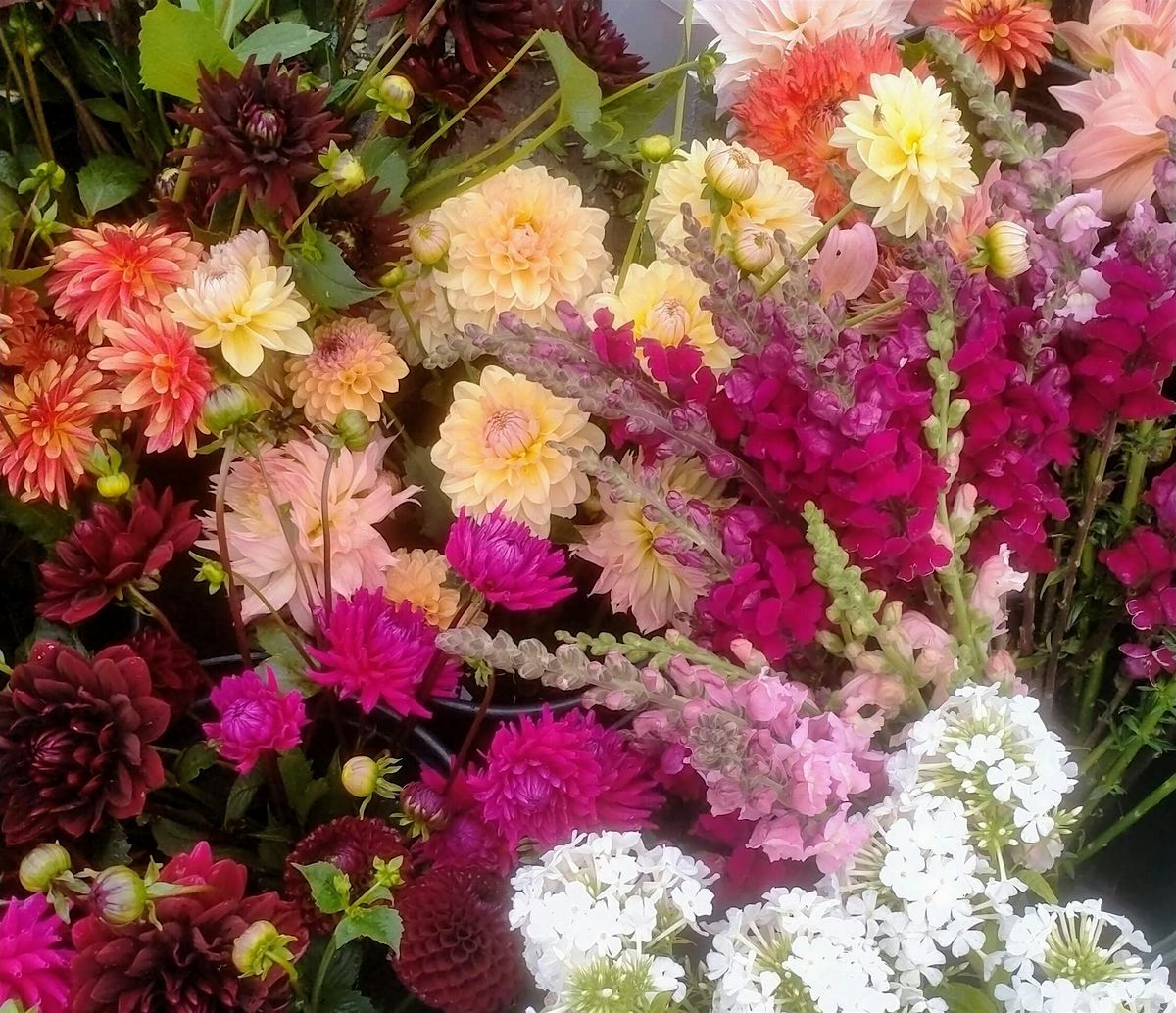 Create a Vase of Autumnal Dahlia Beauties