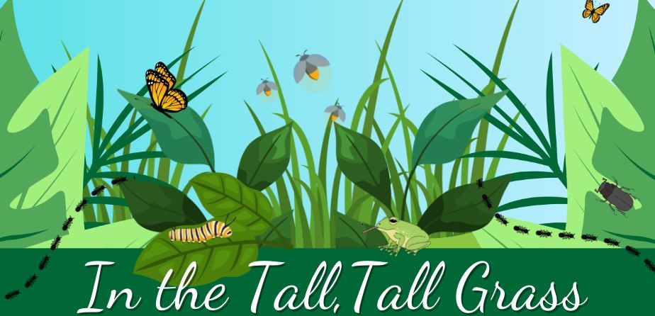 Play Me A Story - In the Tall, Tall Grass