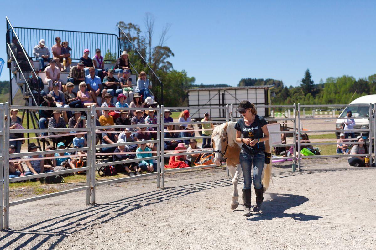 Otaki: Positive reinforcement training with your horse