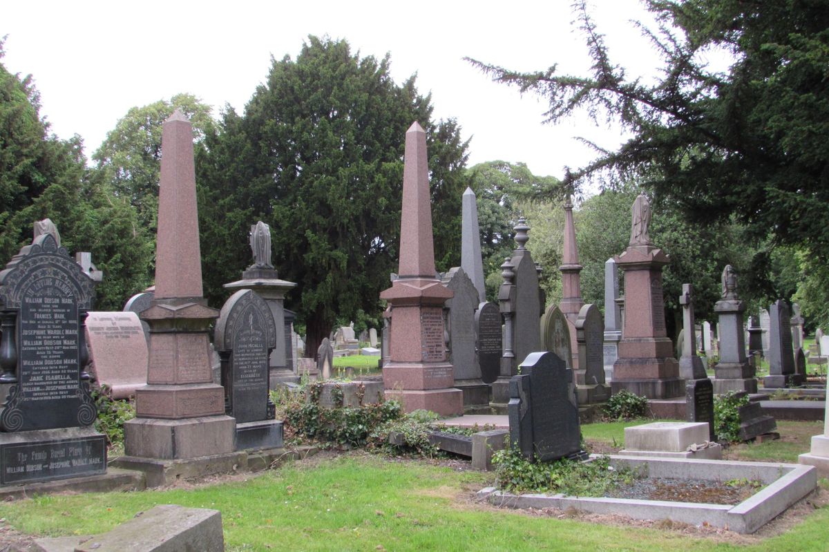 Gosforth's Wild Web Bioblitz: Jesmond Old Cemetery
