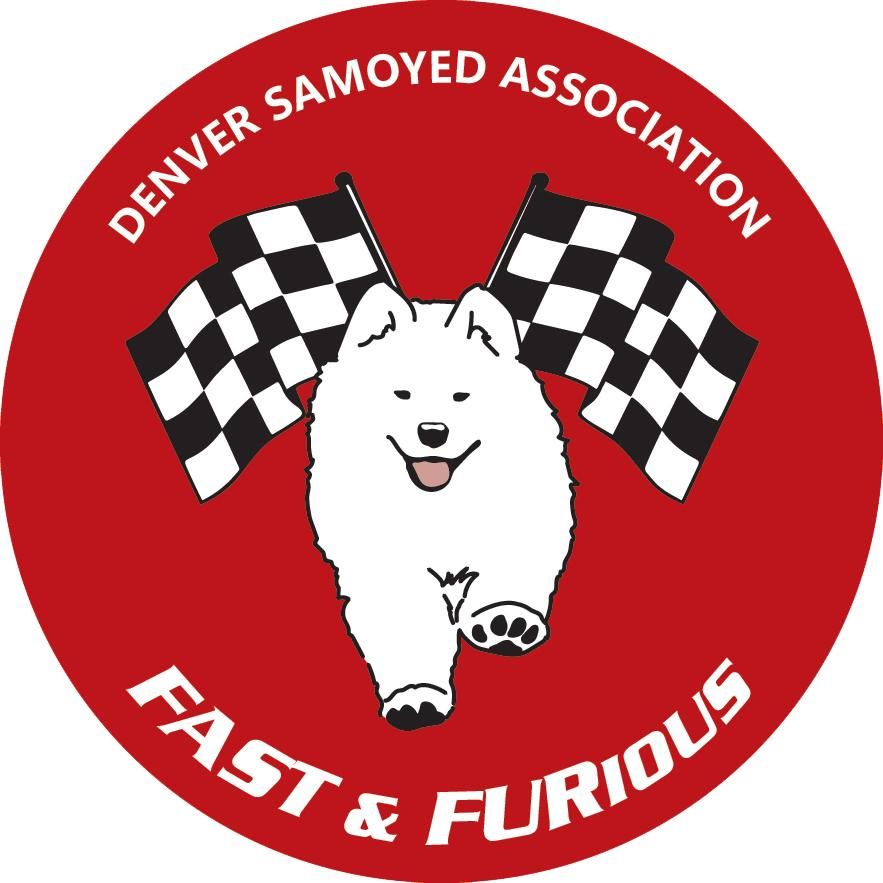 Denver Samoyed Association Fast CAT