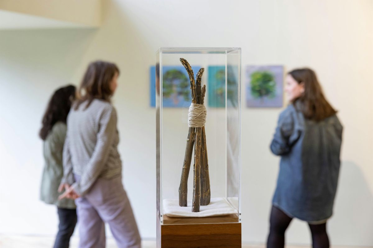 Curatorial Tour of Groundwork: Climate Awareness in the UCC Art Collection