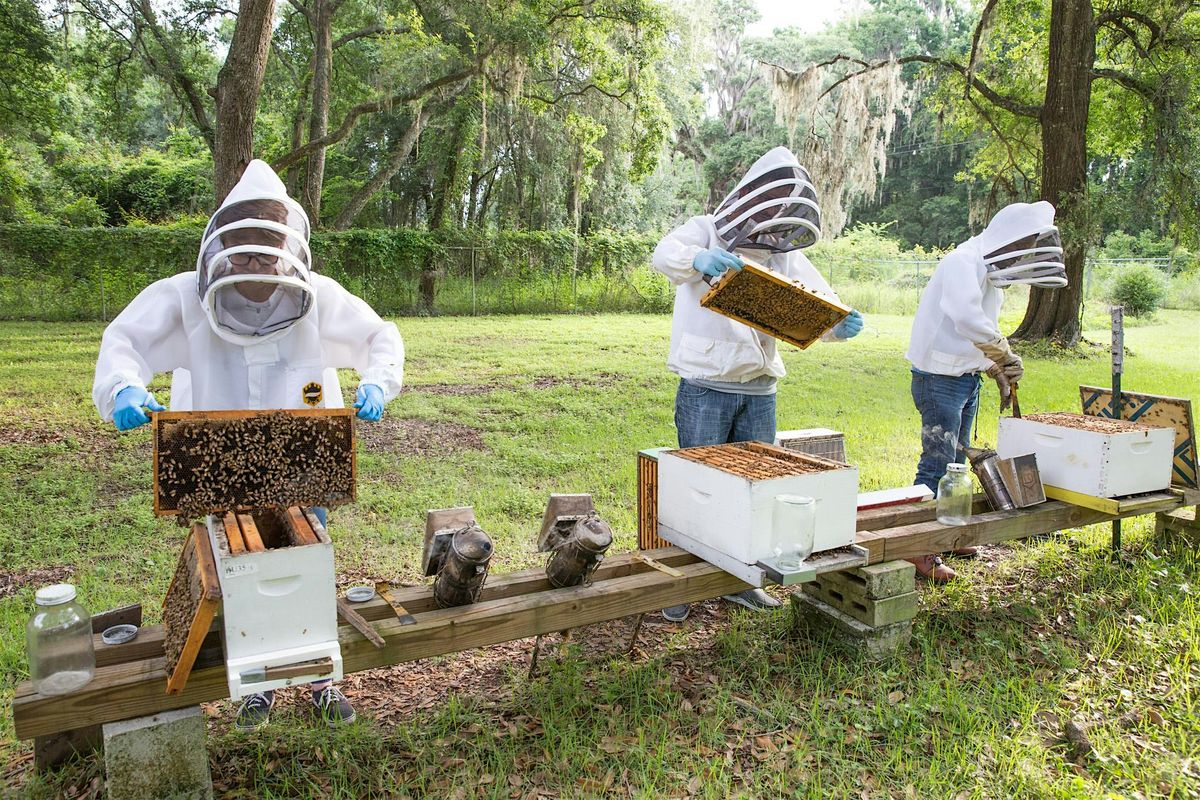 11-19-2024   Beekeeping