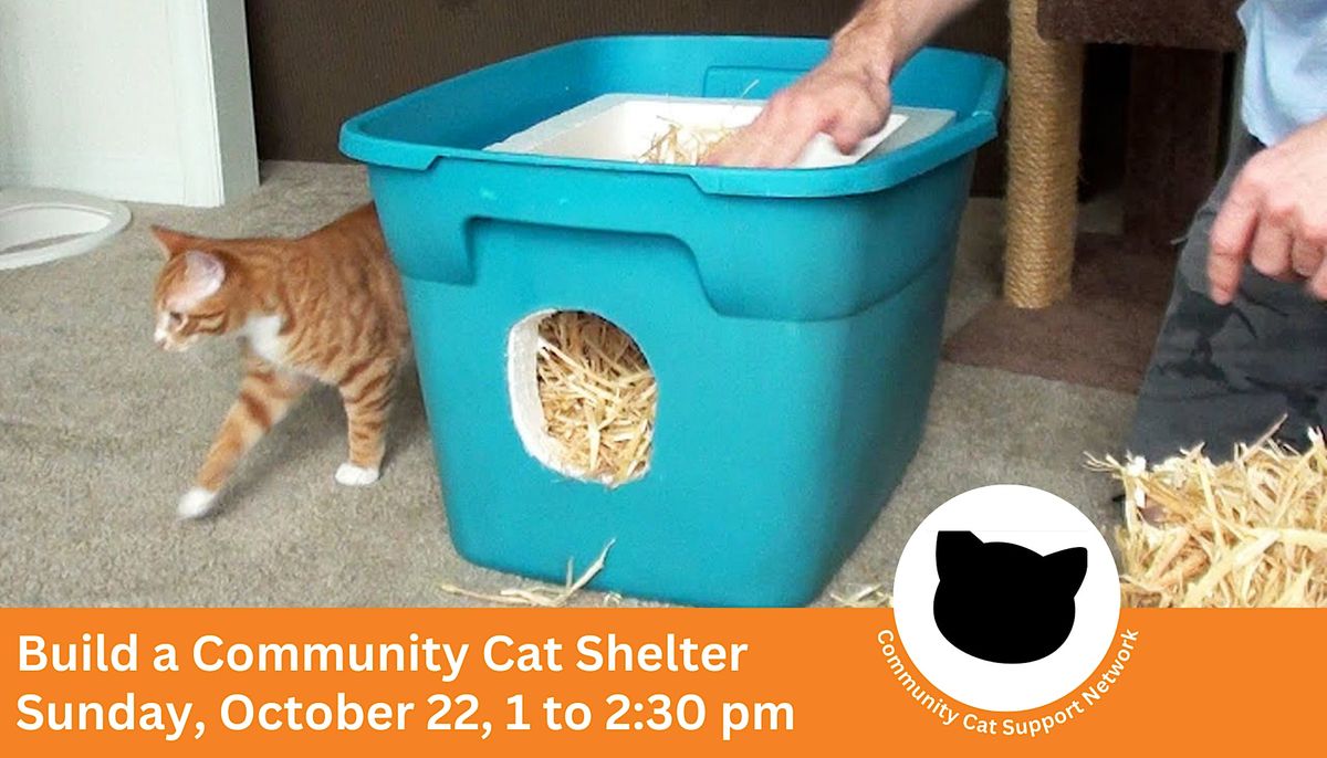 Build an outdoor community cat sheler