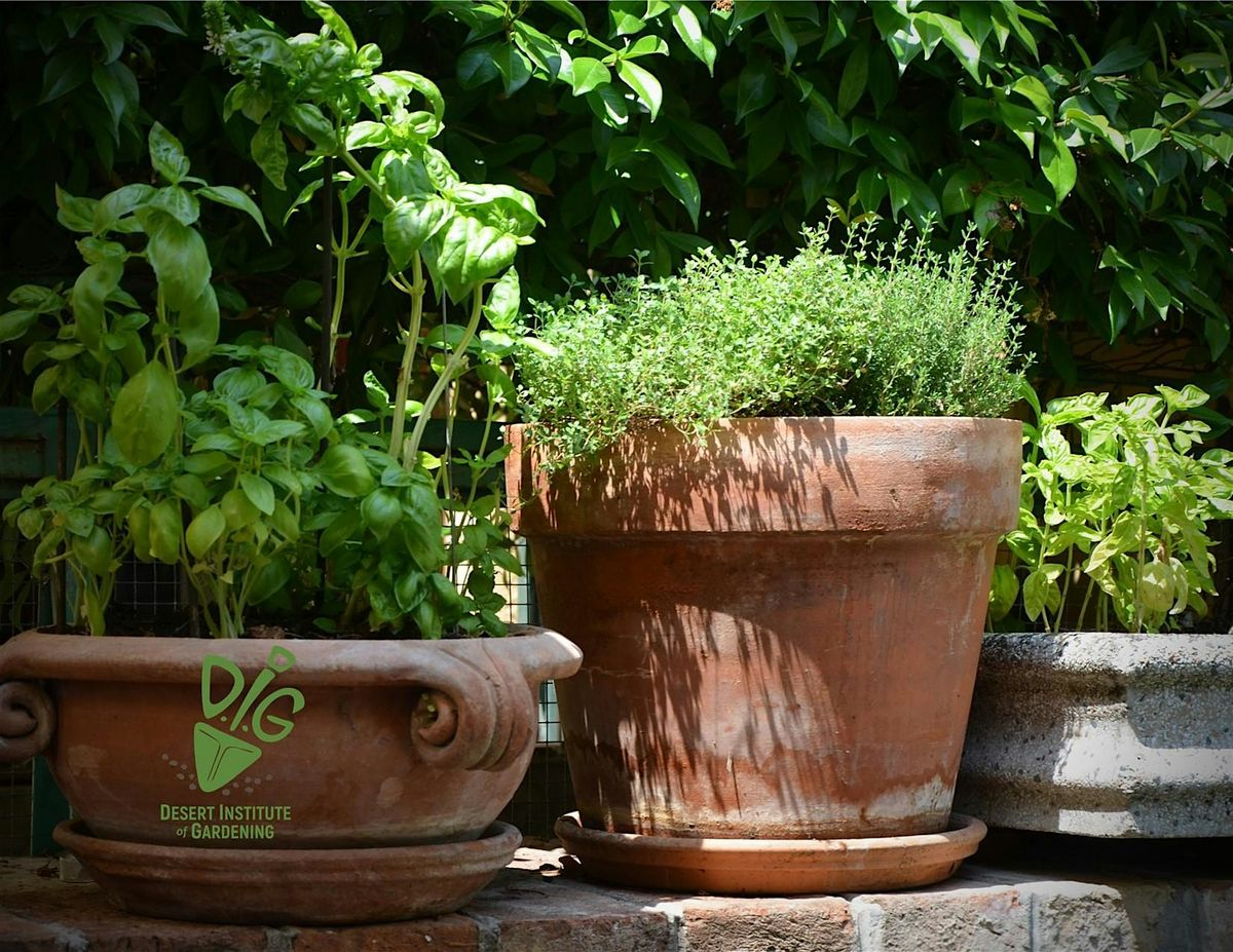 DIG IN-PERSON: Contain Your Garden Desire \u2013 A Primer on Container Gardening