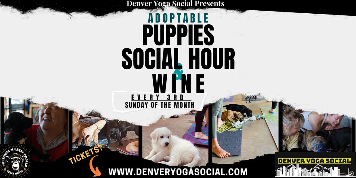 Adoptable Puppy Social Hour & Wine - Colorado Wine Week