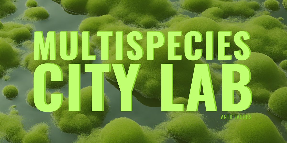 Multispecies City Lab: Imagining more-than-human cities