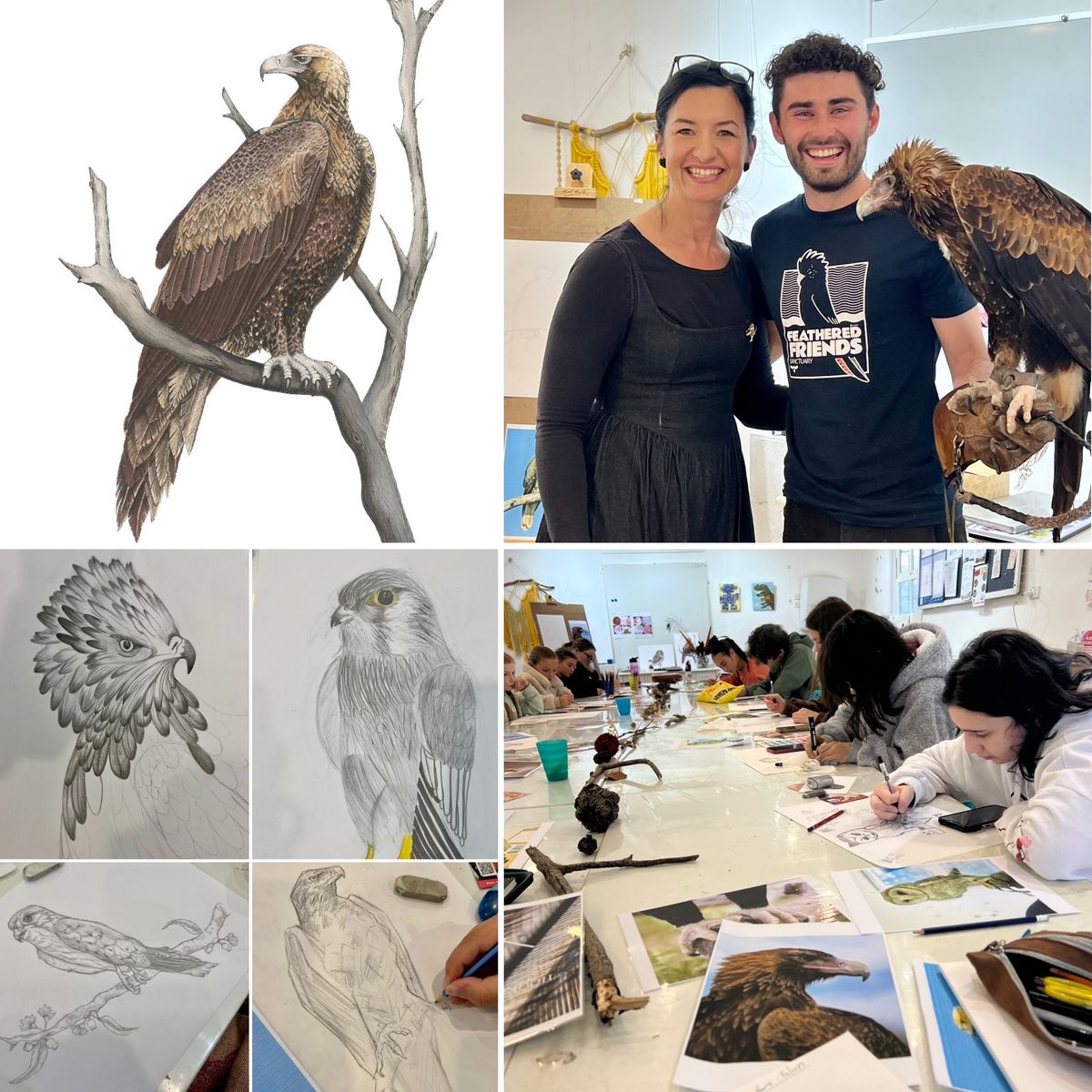 Birds of Prey Drawing Workshop for ADULTS 