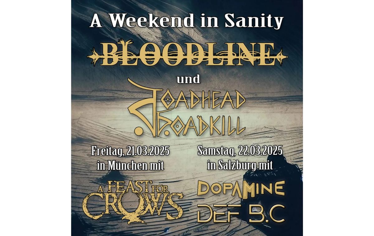  Metal-Konzert "A Weekend in Sanity" 