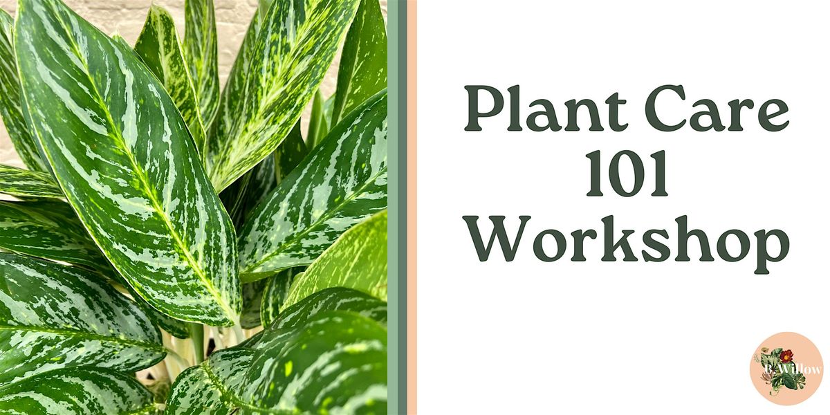 Plant Care 101 Workshop