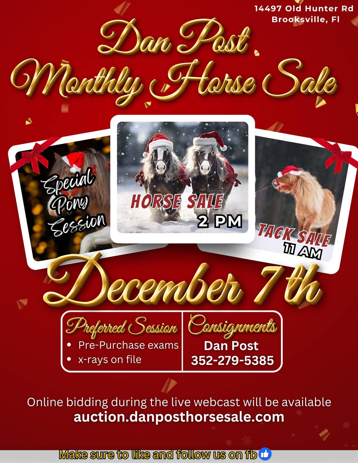 Christmas Special Sale December 7th!