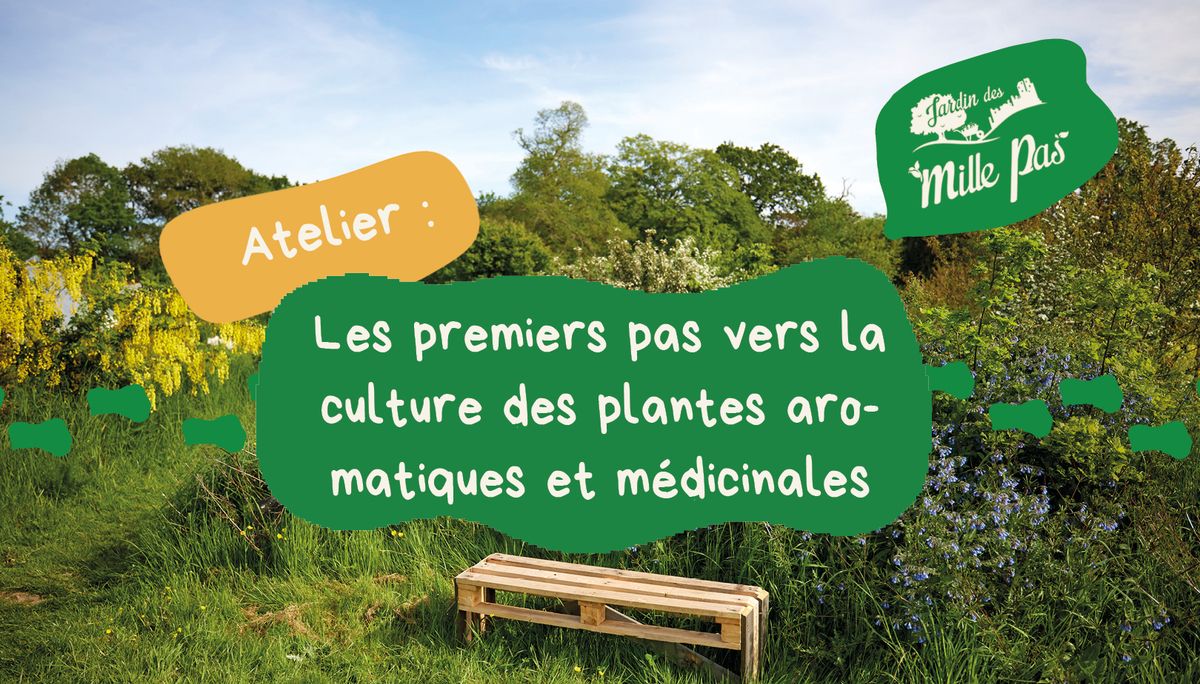 Les premiers pas vers la culture des plantes aromatiques et m\u00e9dicinales