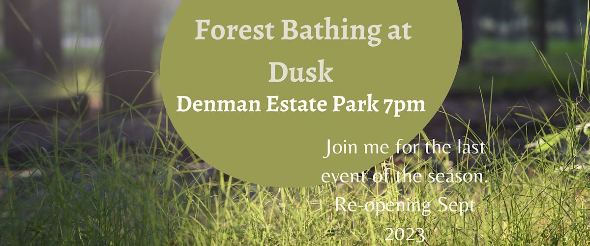 Dusk Forest Bathing at Denman Estate