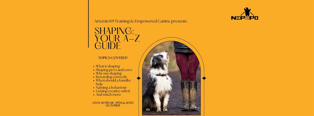 Shaping: Your A-Z Guide