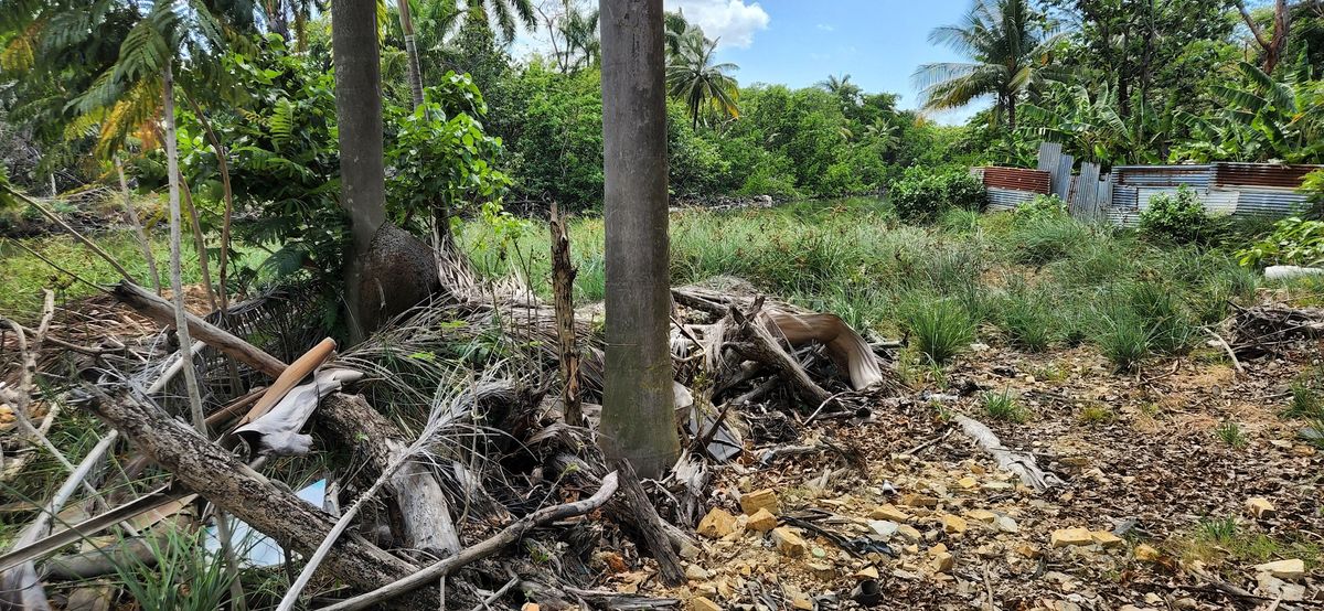 Semana de Brownfields en Puerto Rico: Seminario 2023