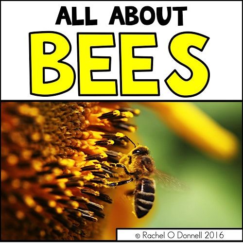 It's All About the BEES