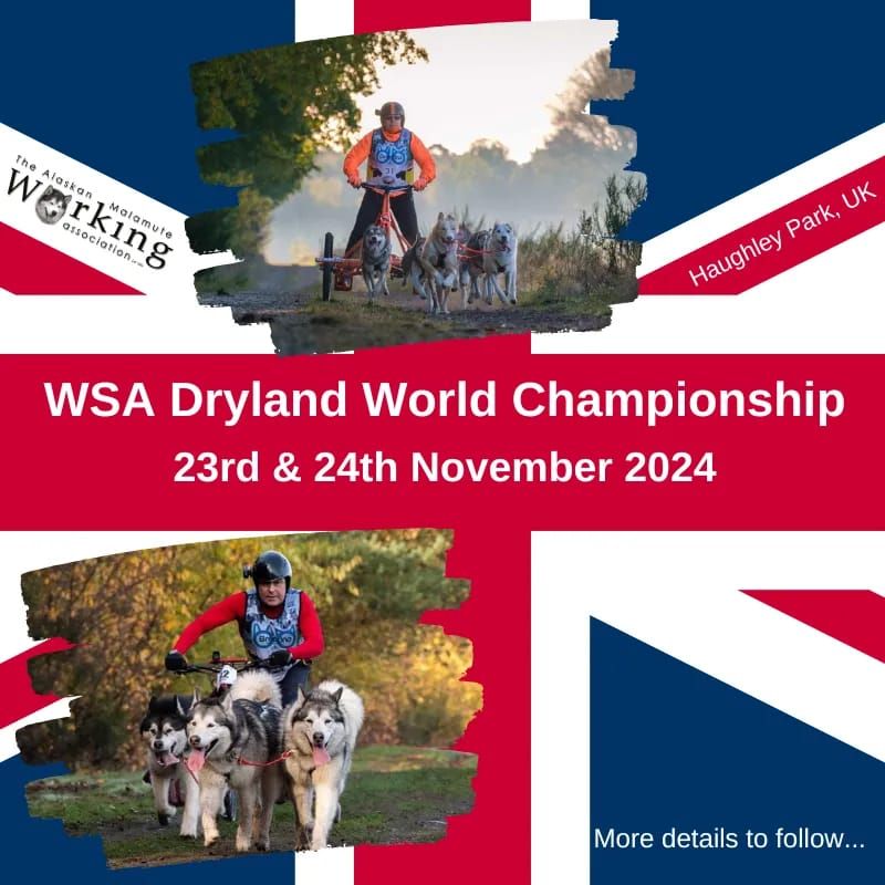 WSA World Championships In Association with AMWA