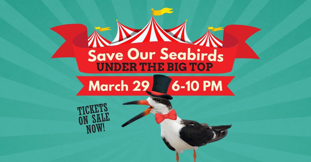 Save Our Seabirds "Under The Big Top" Gala