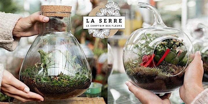 Atelier Terrarium : Cr\u00e9ez Votre \u00c9cosyst\u00e8me Miniature!