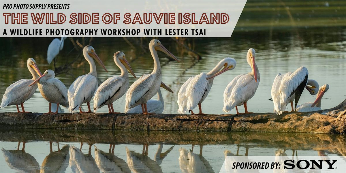 The Wild Side of Sauvie Island with Lester Tsai