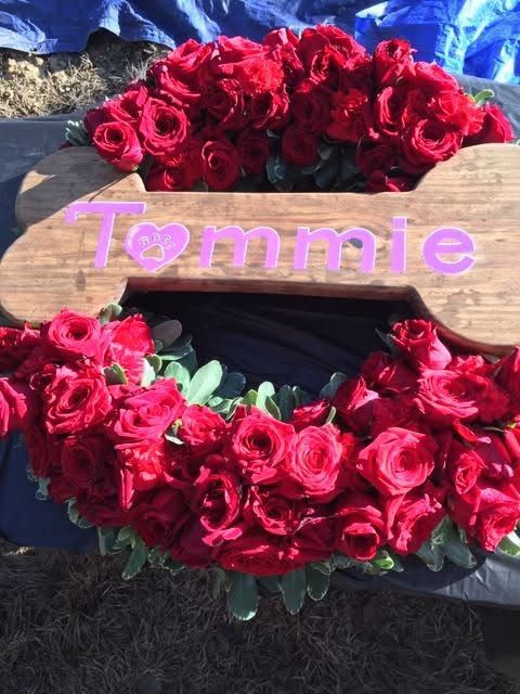 Remembering Tommie