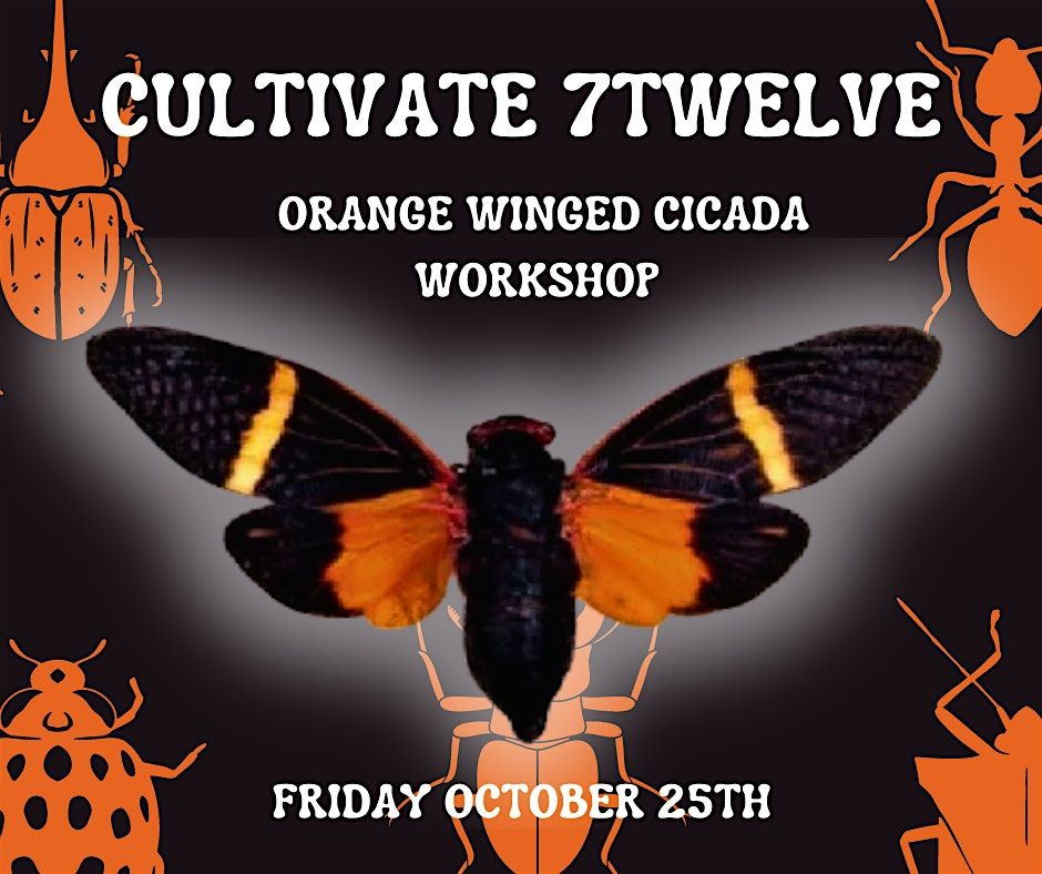 Halloween Cicada Pinning Workshop @ Cultivate7Twelve