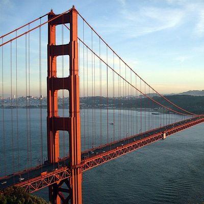 Bay Area Venture Capital