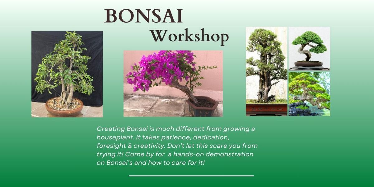 Bonsai workshop