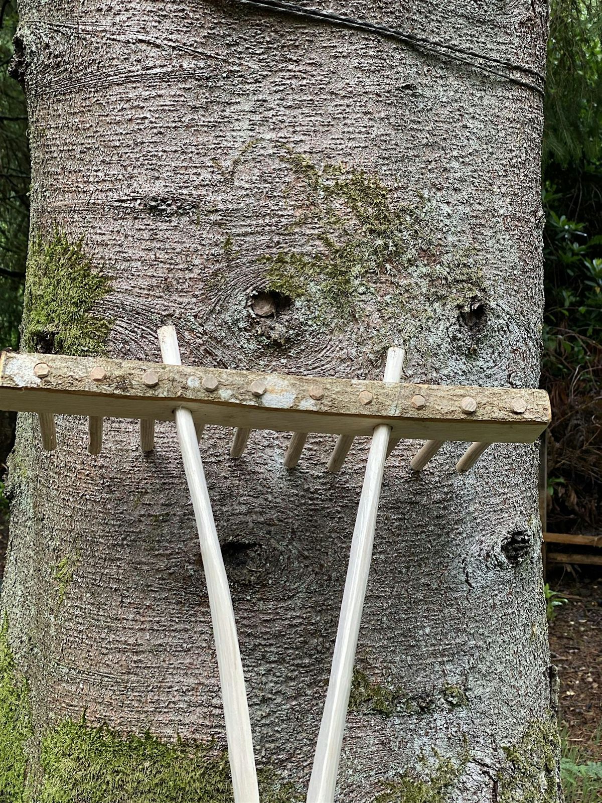 Swallow Tail Rake Making - Green Woodworking Course