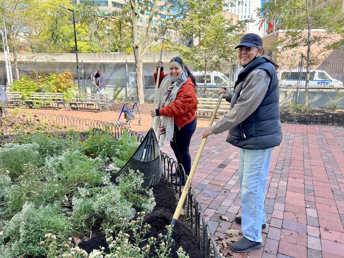 Daffodil Bulb Planting at Gotham Park