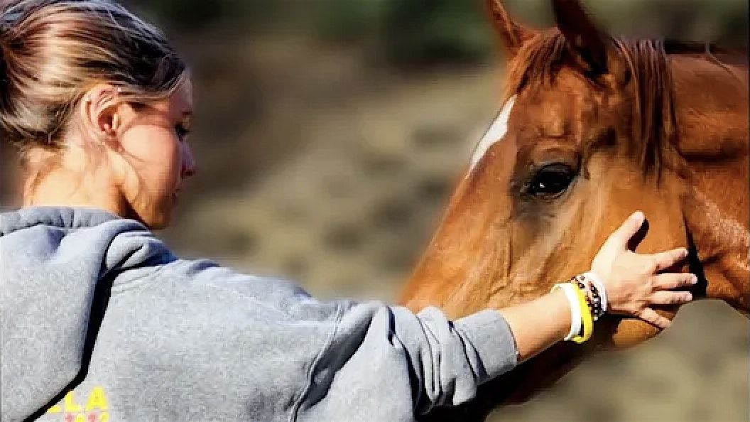 Intro to Equine Therapy and Networking