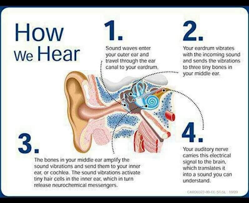 Hearing Test Event to Help with Brain Rehab