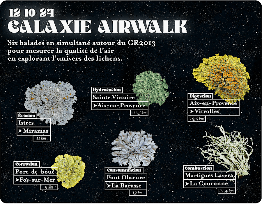 Galaxie AirWalk \u00b7 6 balades en simultan\u00e9