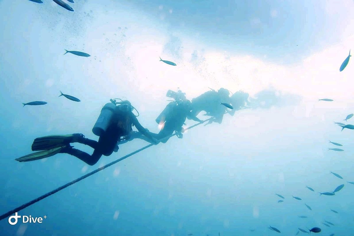 Try SCUBA Diving (6th July 2022), Oasis Sports Centre, London, 6 July 2022