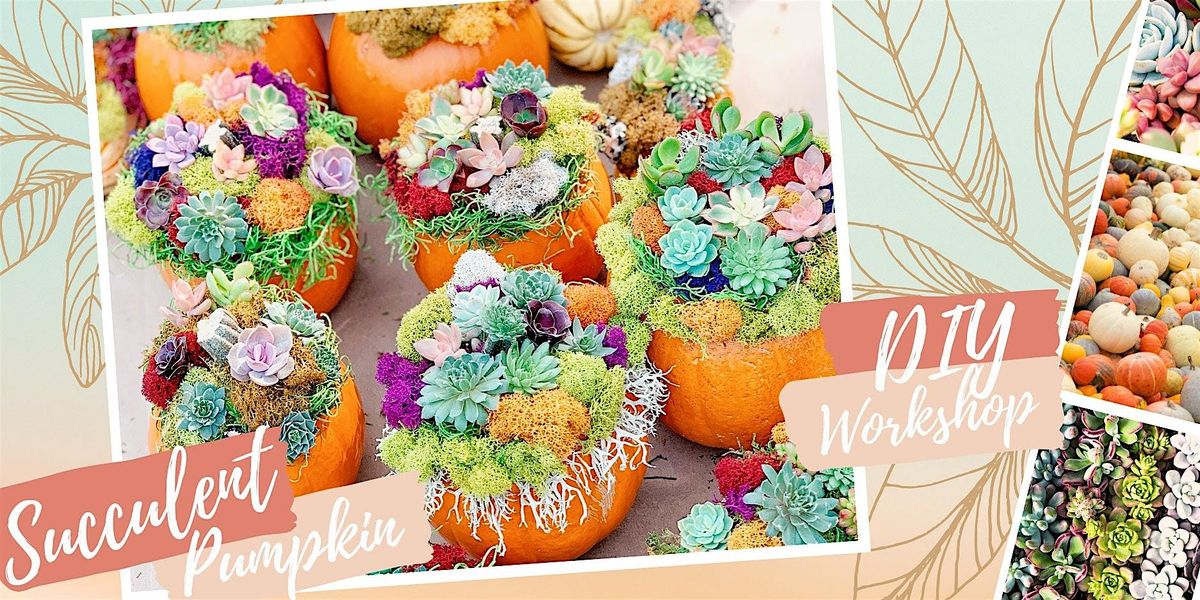 Annual Succulent Pumpkin DIY Workshop at Leisure Street Winery Livermore CA